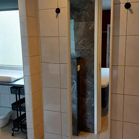 Flint Zuid-limburg *