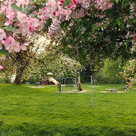 Flint Zuid-limburg *