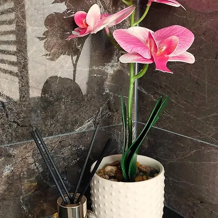 Flint Zuid-limburg *