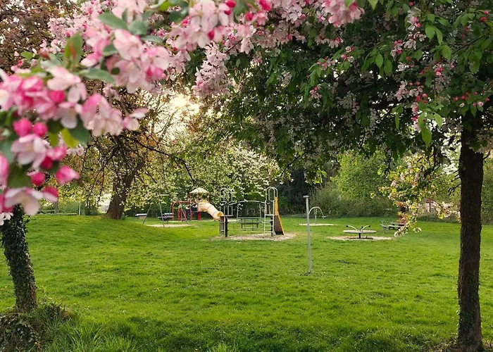 Flint Zuid-limburg *