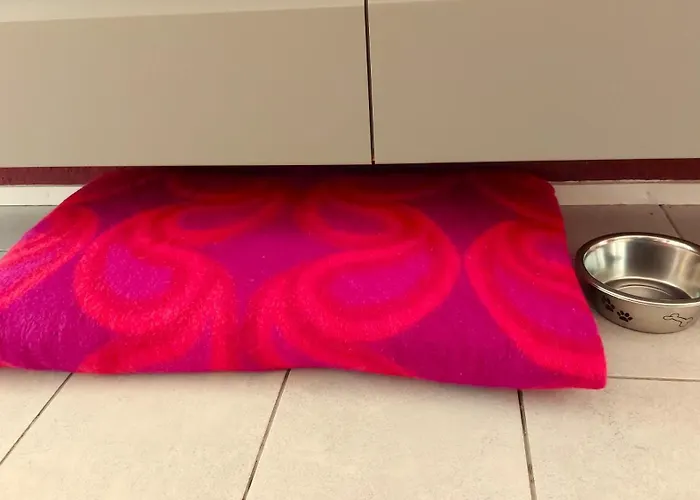 Flint Zuid-limburg בית נופש