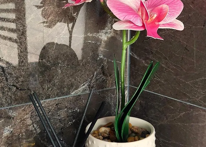 Flint Zuid-limburg *