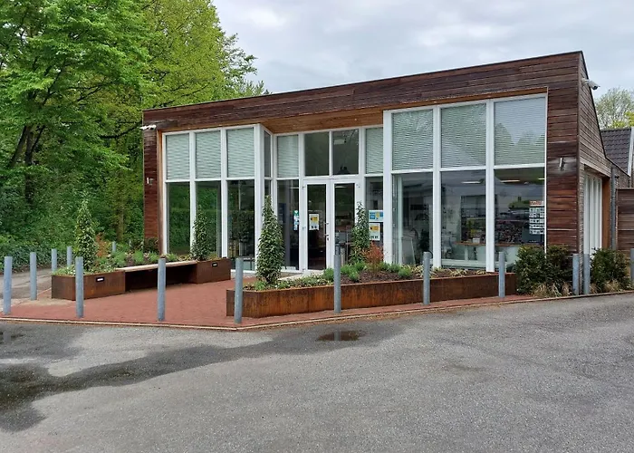 Flint Zuid-limburg * Симпелвелд