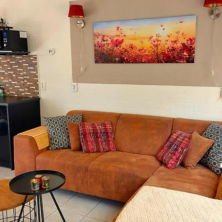 Σπίτι διακοπών Flint Zuid-limburg *